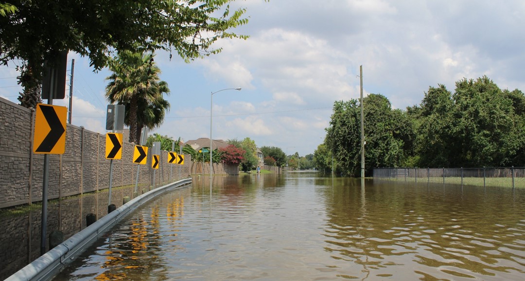 Dual Fuel Generator Disaster Relief Hurricane